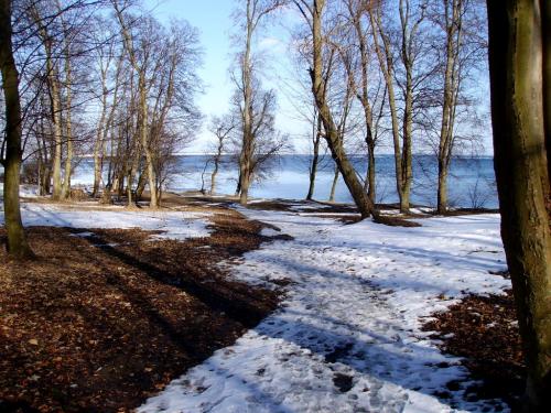 Park w Rzucewie zimą